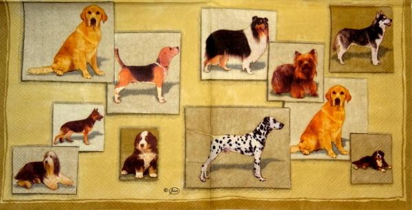 108 Dogs - 3-ply (beige) - Ambiente